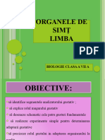 Organele de Simt