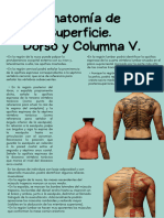 6.1.1-7 Anatomía de Superficie