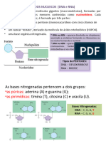 DNA e RNA