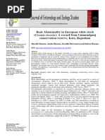 Beak Abnormality in European White Stork (Ciconia Ciconia) : A Record From Ummendgunj Conservation Reserve, Kota, Rajasthan