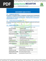 01 Resumen Ejecutivo