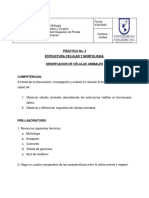 Práctica de Laboratorio No. 4, Observación de Células Animales