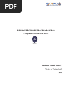 INFORME TÉCNICO DE PRÁCTICA LABORAL T Social