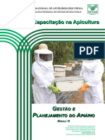 Apicultura VI - Gestao e Planejamento Do Apiario