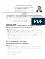 CV - Hse - Mauricio Carrillo-01