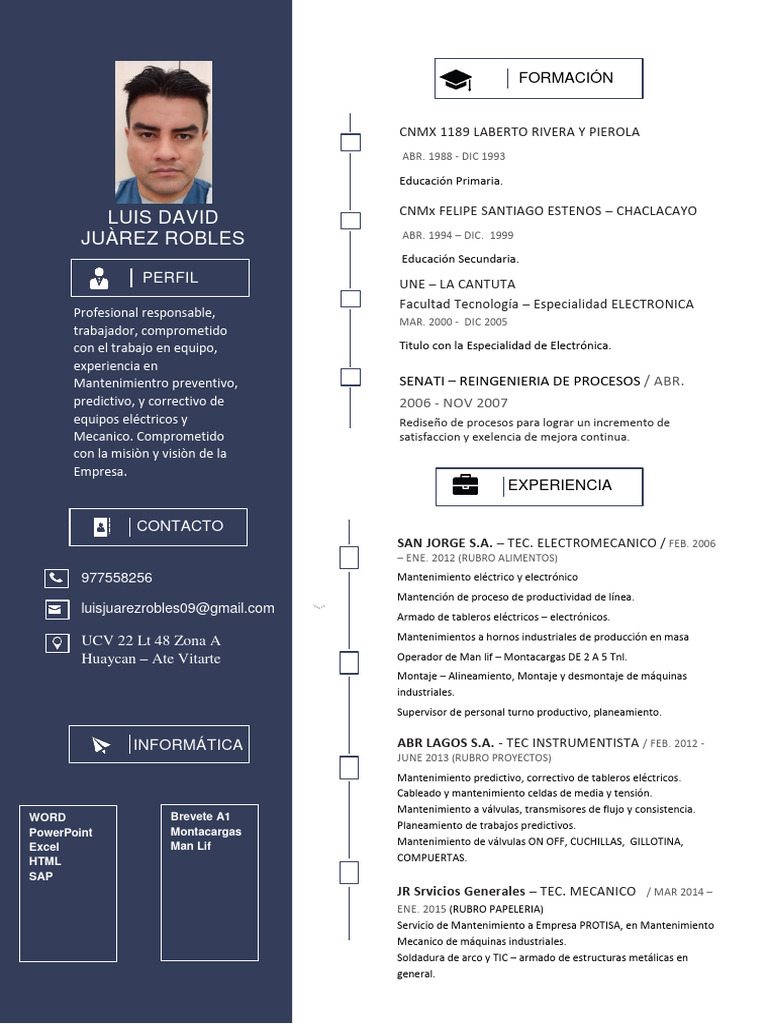 Curriculum Vitae Luis Juarez | PDF