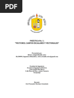 Práctica 1: VECTORES, CAMPOS ESCALARES Y VECTORIALES