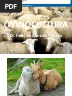 Ovinocultura Vet HV2020