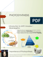 Photosynthesis 1