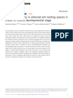 Bacterial Diversity in Arboreal Ant Nesting Spaces Is Linked To Colony Developmental Stage