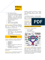 Resumen Semana 10 - Columna Vertebral Mod 2