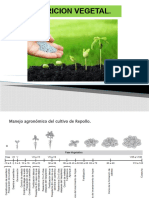 Nutrcion de Las Plantas de Hortalizas.