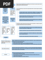 Mapa Conceptual NIA 320