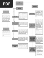 Mapa Conceptual NIA 500