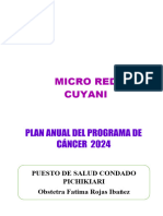 Plan de Trabajo Fatima Cancer 2024