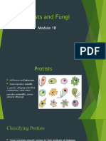 Module 18 Protists and Fungi