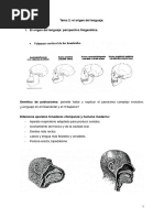 Tema 2 - El Origen Del Lenguaje