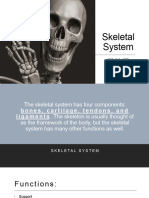 Skeletal System