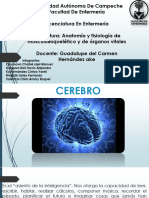 CEREBRO