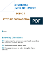 Topic 7 - Attitude Formation