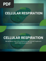 Cellular Respiration