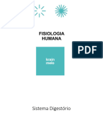 Aula 15 - Sistema Digestório