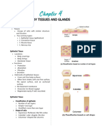 Chapter 3 or 4 - Body Tissues and Glands