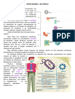 Resumo Reinos Monera Protista e Fungi