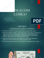 Cum Auzim Lumea