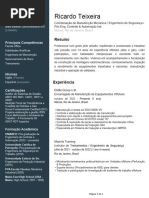 Ricardo Teixeira CV Word