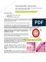 Clase 50 - Patologia Inflamatoria Congenita y Tumoral Del Esofago