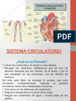 Sistema Circulatorio