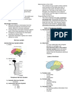 Neuro Handout