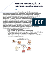 Crescimento e Regeneração de Tecidos Vs Diferenciação Celular