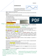 2.1-Ruidos y Soplos PDF