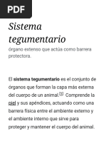 Sistema Tegumentario - Wikipedia, La Enciclopedia Libre