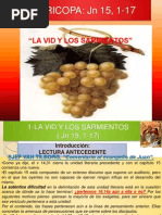 La Vid y Los Sarmientos-Exposicion