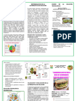 Triptico de Una Dieta Nutritiva para Un Adolescente 04-12-2023