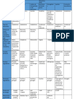 Bioquímica Rutas