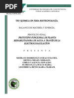 ELECTROCOAGULADOR Balance de Materia y Energia