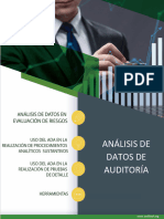 Guia Análisis de Datos de Auditoría