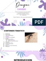 Exposicion Dengue