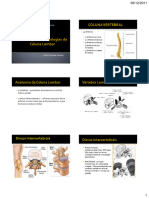 Fisioterapia Nas Patologias Da Coluna Lombar