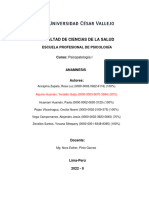 Psicopatología Anamnesis + 9 Test Psicologicos Completos