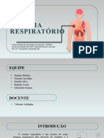 Sistema Respiratorio