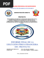 Informe Final 07 - 01