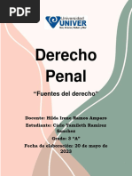 Derecho Penal