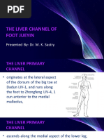 12 - The Liver Channel of Foot Jueyin