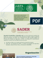 Secretaria de Agricultura Ganaderia Desarrollo Rural Pesca y Alimentación (SAGARPA)