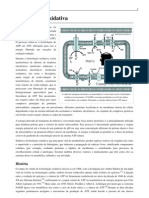 Fosforolização Oxidativa